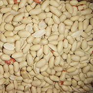 Blanched Peanut Processing Equipment