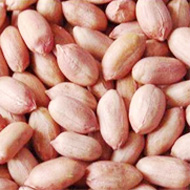 Peanut Shelling Machine