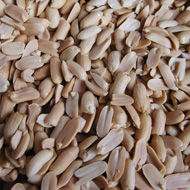 Split Peanut Blanching Machine