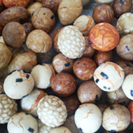 Japanese Peanut Processing Equipment