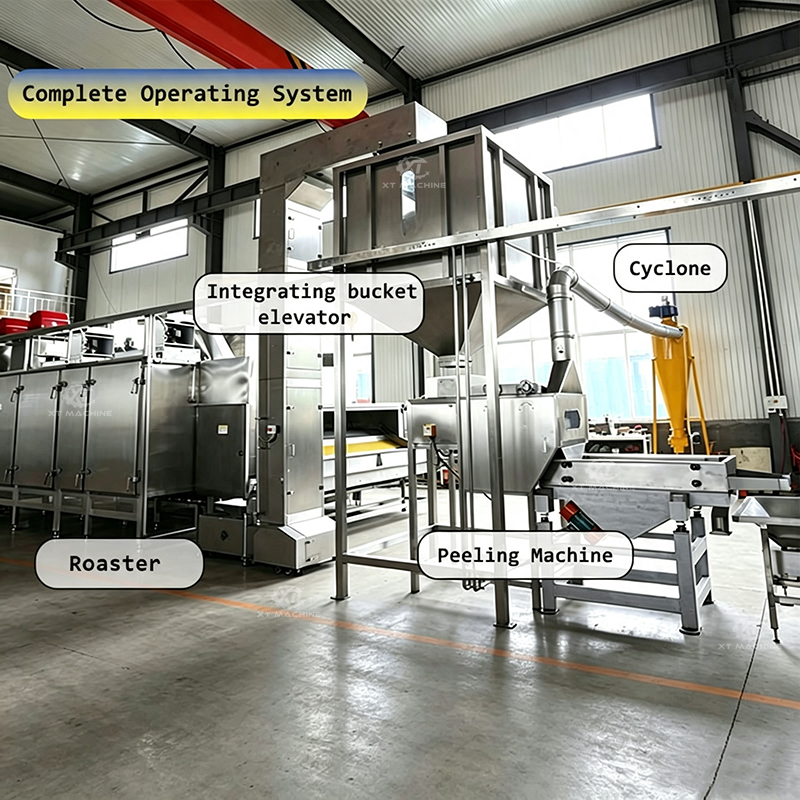 Split Peanut Peeling & Blanching Machine SS304 for Peanut Processing Plants
