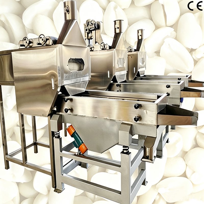 Split Peanut Kernel Blanching Machine Slitting Peeling Machine