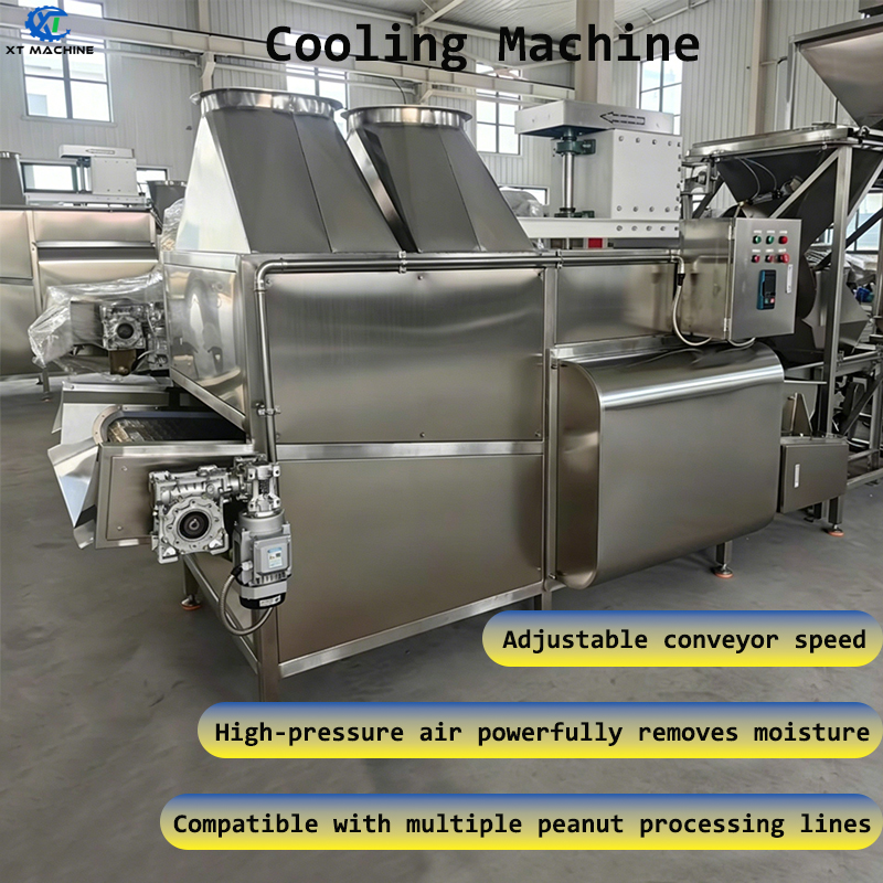 Fryed Food Cooling Machine Roasted Peanut Cooler