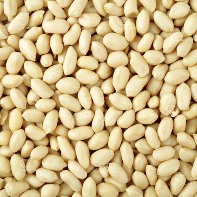 Air Peanut Blanching Machine